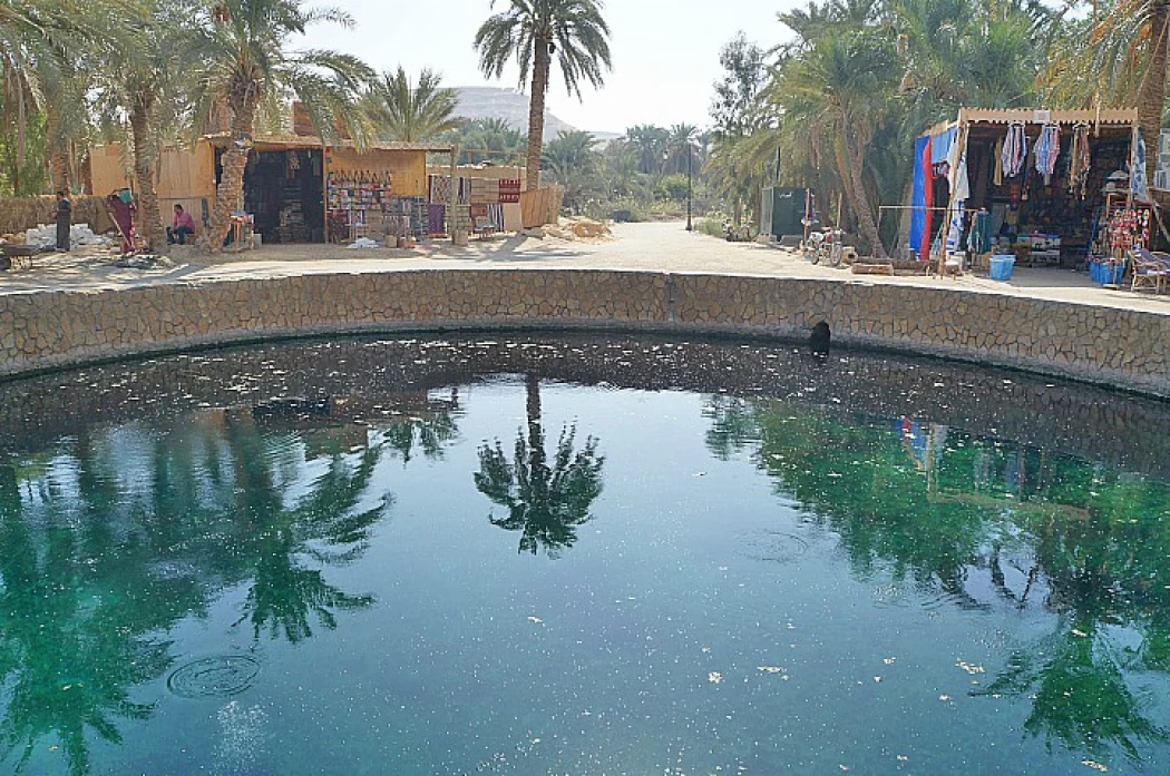 Source de Cléopâtre dans l'oasis de Siwa | Ain Guba